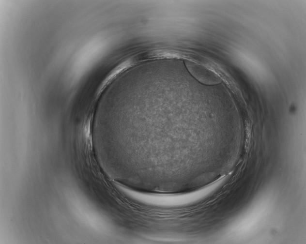 X0000095551198200712211403