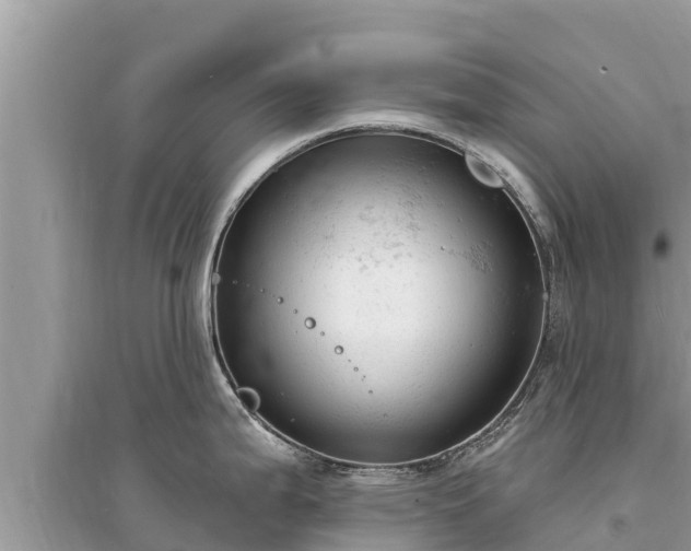 X0000095551199200712211403