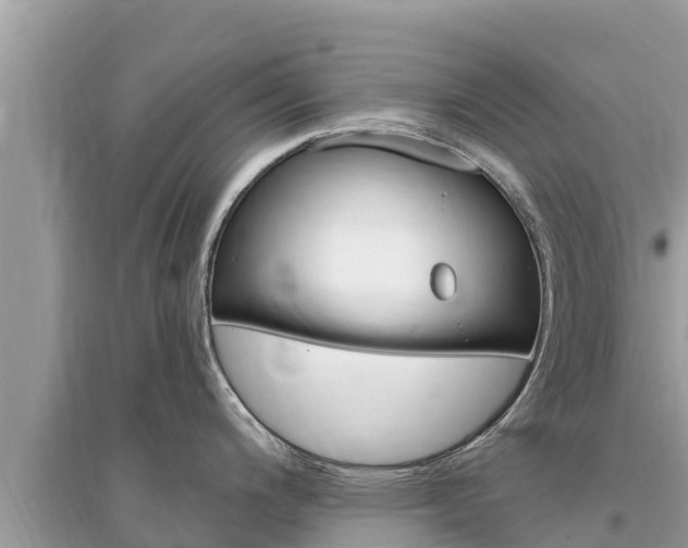 X0000095551200200712211403