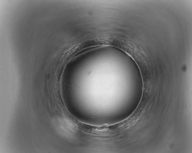 X0000095551201200712211402