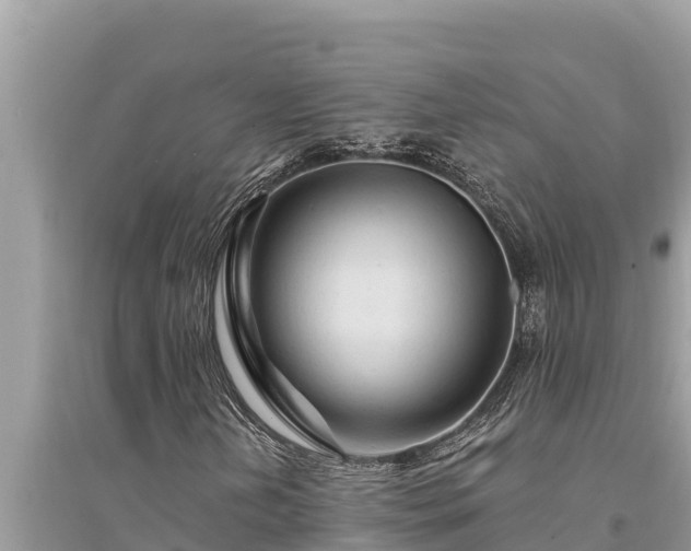 X0000095551202200712211402