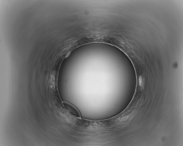 X0000095551203200712211402