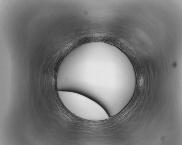 X0000095551204200712211402