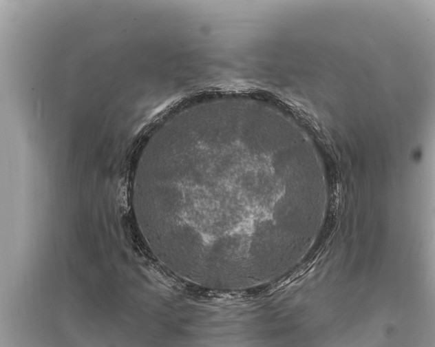 X0000095551205200712211402