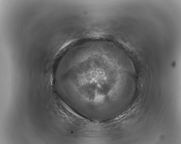 X0000095551206200712211402