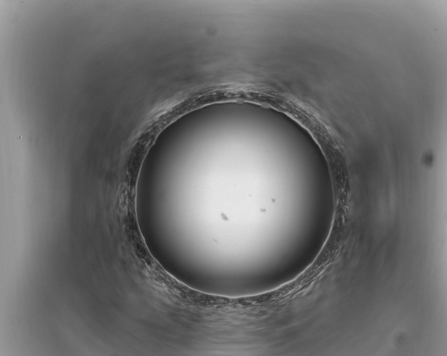 X0000095551207200712211402