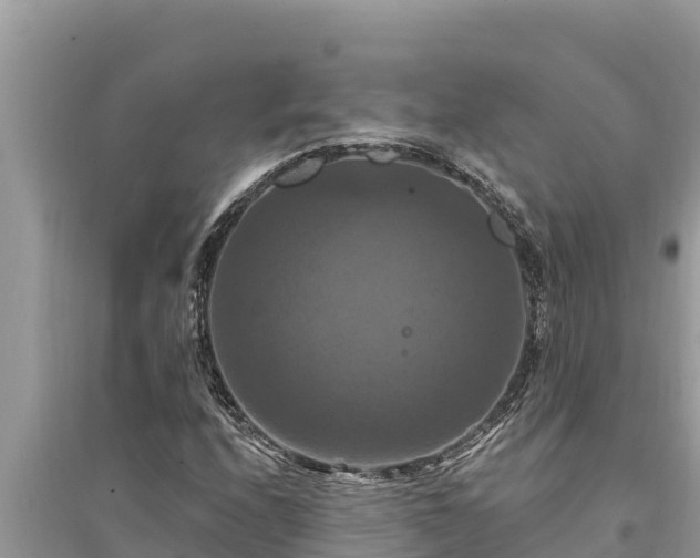 X0000095551208200712211402