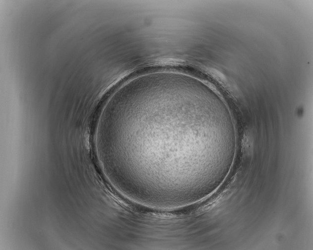 X0000095551209200712211402