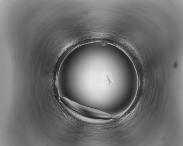 X0000095551210200712211402