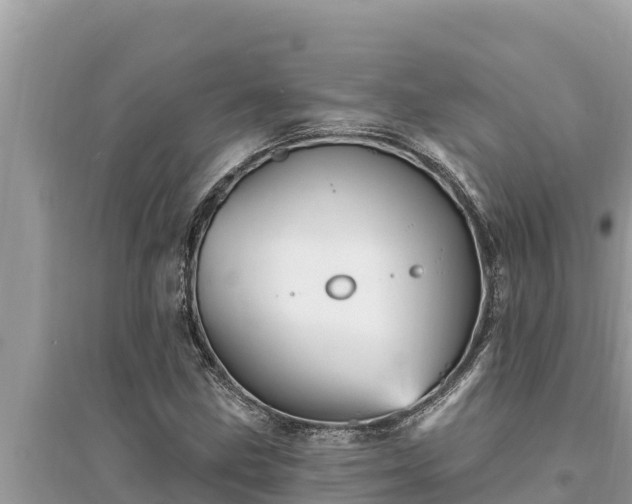 X0000095551211200712211402