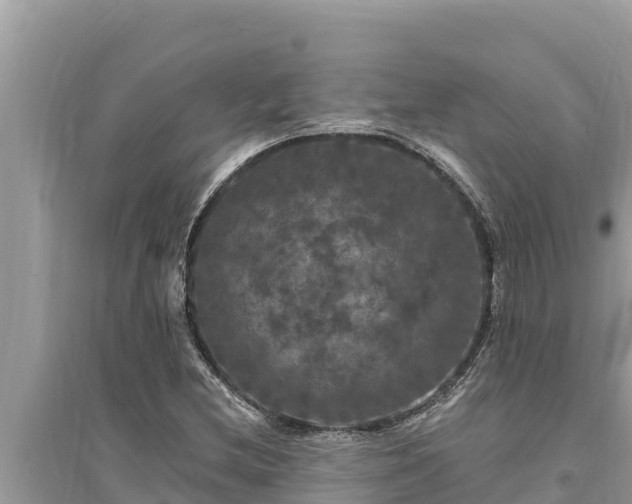 X0000095551212200712211402