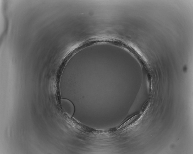 X0000095551213200712211402