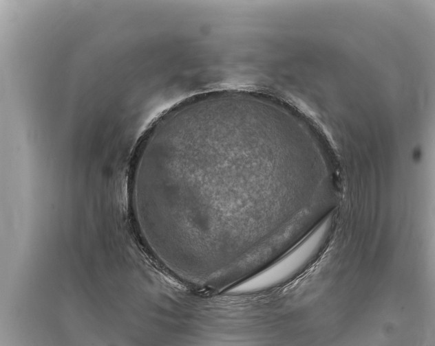 X0000095551214200712211402