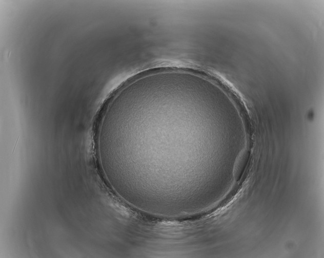 X0000095551215200712211402