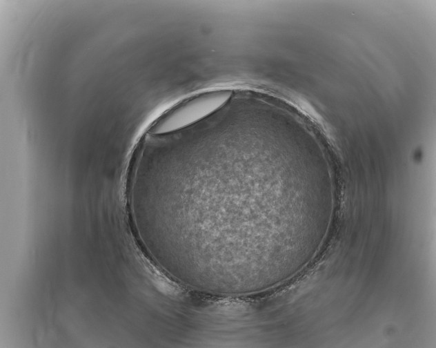 X0000095551216200712211402