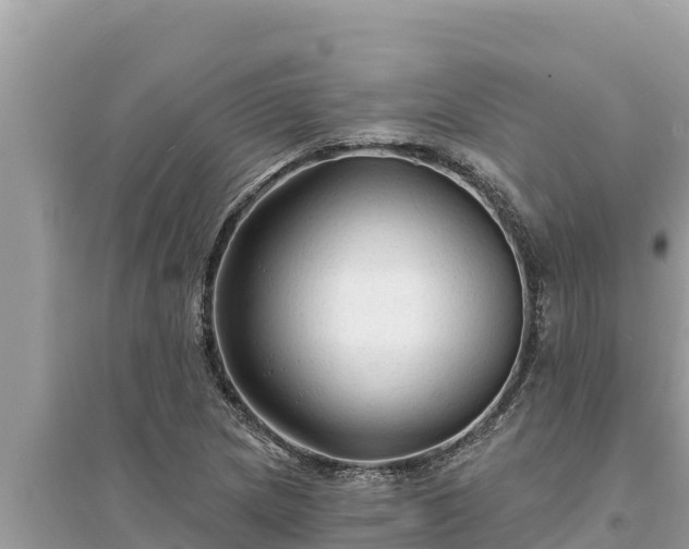 X0000095551217200712211402