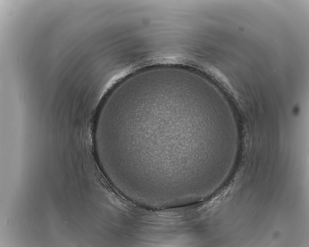 X0000095551218200712211402