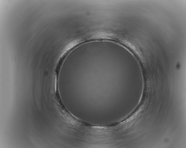 X0000095551219200712211402