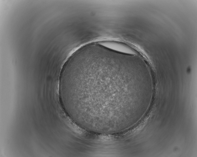 X0000095551220200712211402