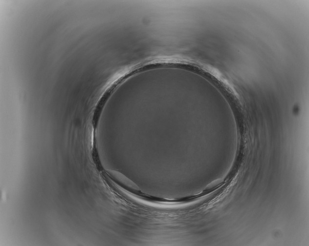 X0000095551221200712211402