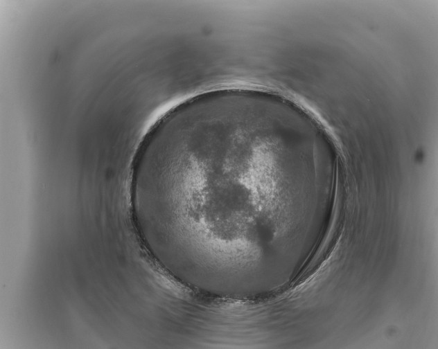 X0000095551222200712211402