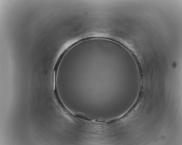 X0000095551223200712211402