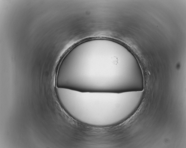 X0000095551224200712211402