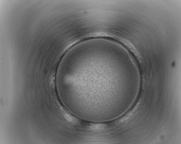 X0000095551225200712211402