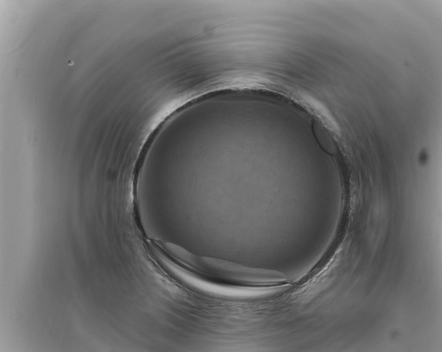 X0000095551226200712211402