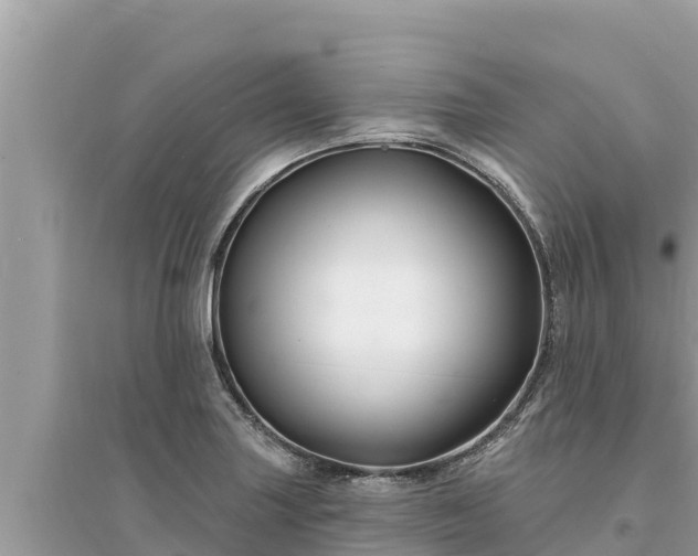 X0000095551227200712211402