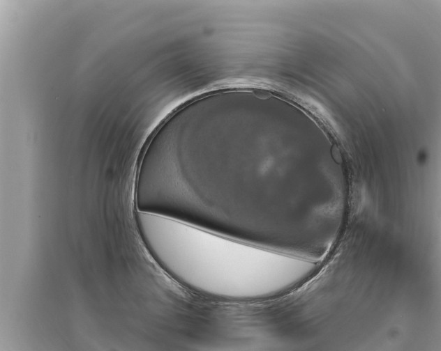 X0000095551228200712211402