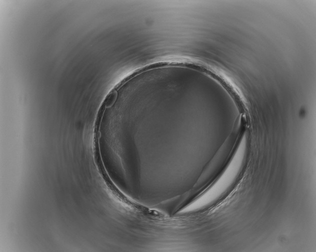 X0000095551229200712211402