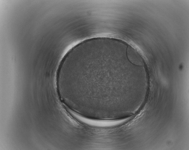 X0000095551230200712211402