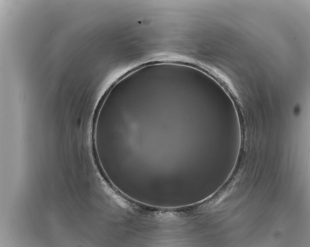 X0000095551231200712211402