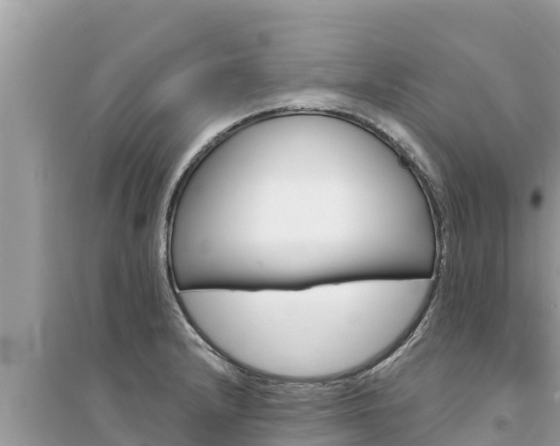 X0000095551232200712211402