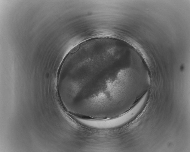 X0000095551234200712211402