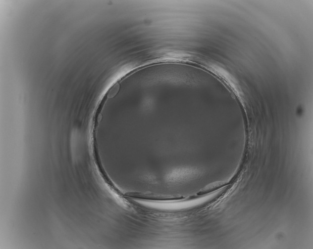 X0000095551235200712211402