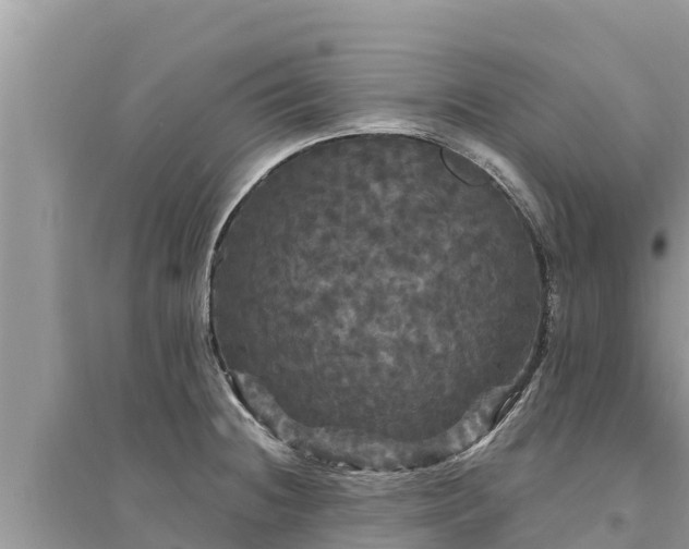 X0000095551236200712211402