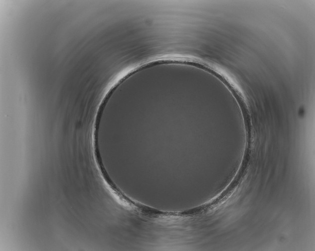 X0000095551237200712211403