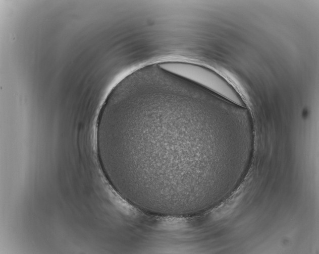 X0000095551238200712211403