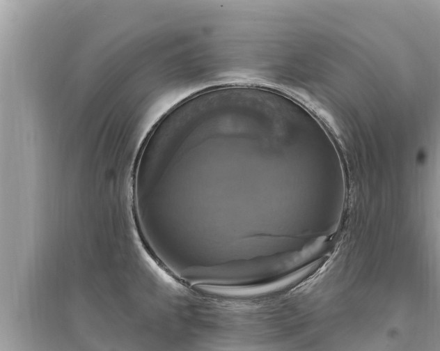 X0000095551239200712211403