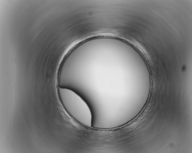 X0000095551240200712211403