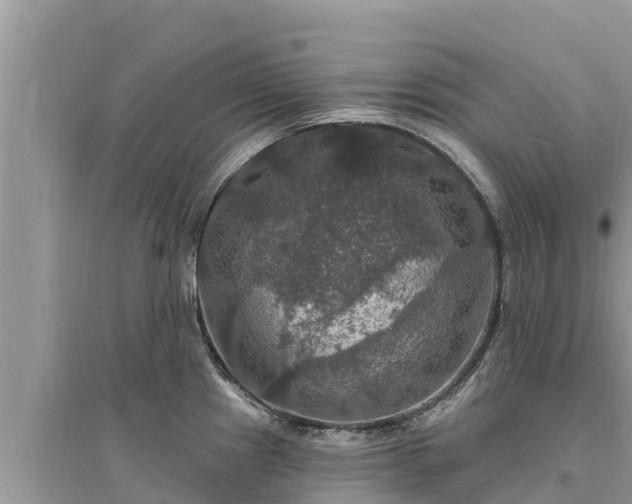 X0000095551241200712211403