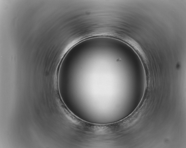 X0000095551242200712211403