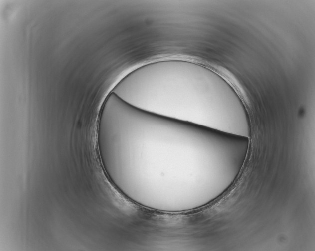 X0000095551244200712211403