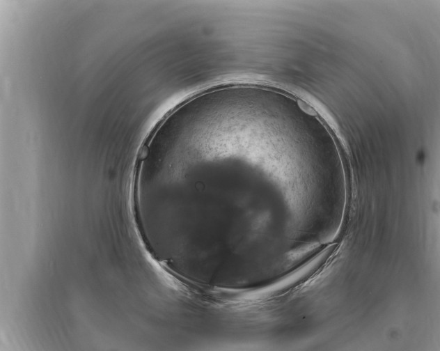 X0000095551245200712211403