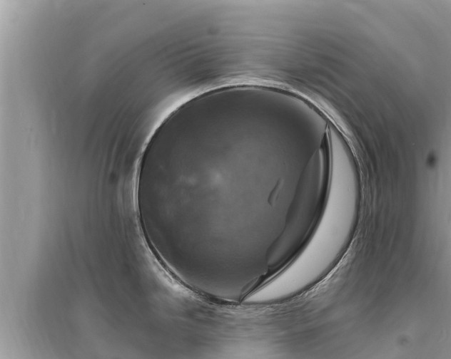 X0000095551246200712211403