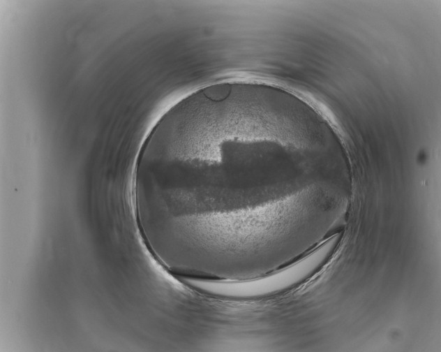 X0000095551247200712211403