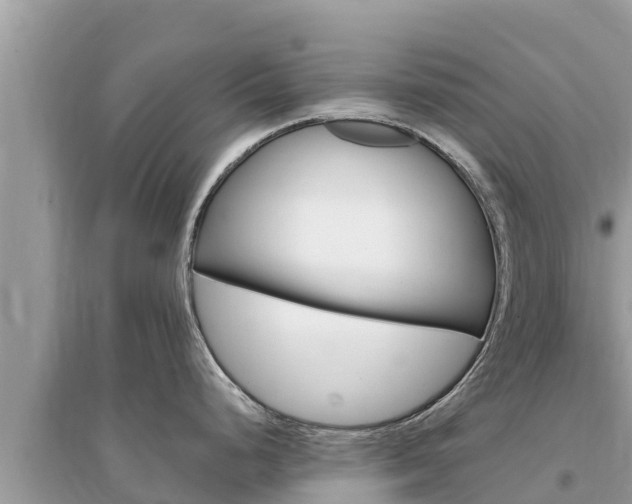 X0000095551248200712211403