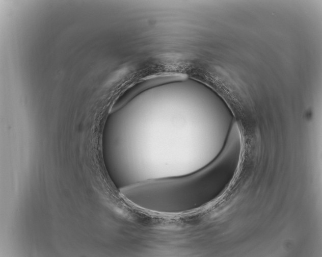 X0000095551249200712211402